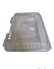 GASTRO PET KUTIJA za 6-8 KOLAČA 1/1